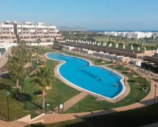 Swimming pool of Flat to rent in  Almería Capital  with Terrace and Swimming Pool