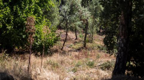 Foto 4 de Residencial en venta en Calle 45, 121, Piedralaves, Ávila