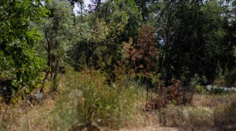 Foto 5 de Residencial en venta en Calle 45, 121, Piedralaves, Ávila