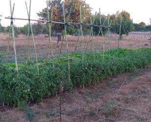Garden of Land for sale in Manises