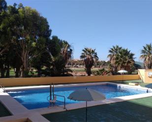 Swimming pool of Apartment to rent in Roquetas de Mar  with Terrace, Swimming Pool and Balcony