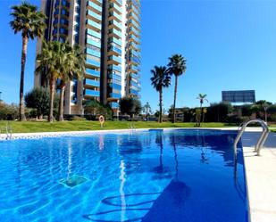 Piscina de Pis de lloguer en Benidorm amb Aire condicionat, Terrassa i Piscina