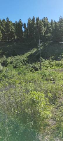 Terreno no urbanizable en Venta en Calle las Piedras Blancas, 16 en El Paso