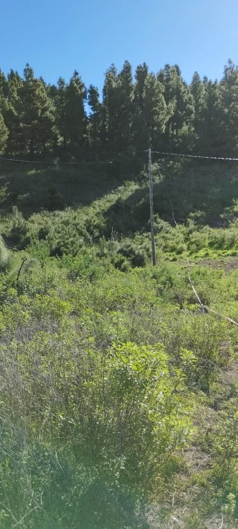 No Urbanitzable en venda en El Paso