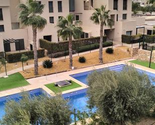 Swimming pool of Flat to rent in  Murcia Capital  with Private garden, Terrace and Swimming Pool