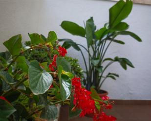 Garden of Flat for sale in  Barcelona Capital  with Private garden, Terrace and Furnished