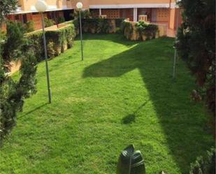 Garden of Flat to rent in La Antilla  with Terrace and Swimming Pool