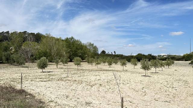 Terreno urbanizable en Venta en Zona d'Interior