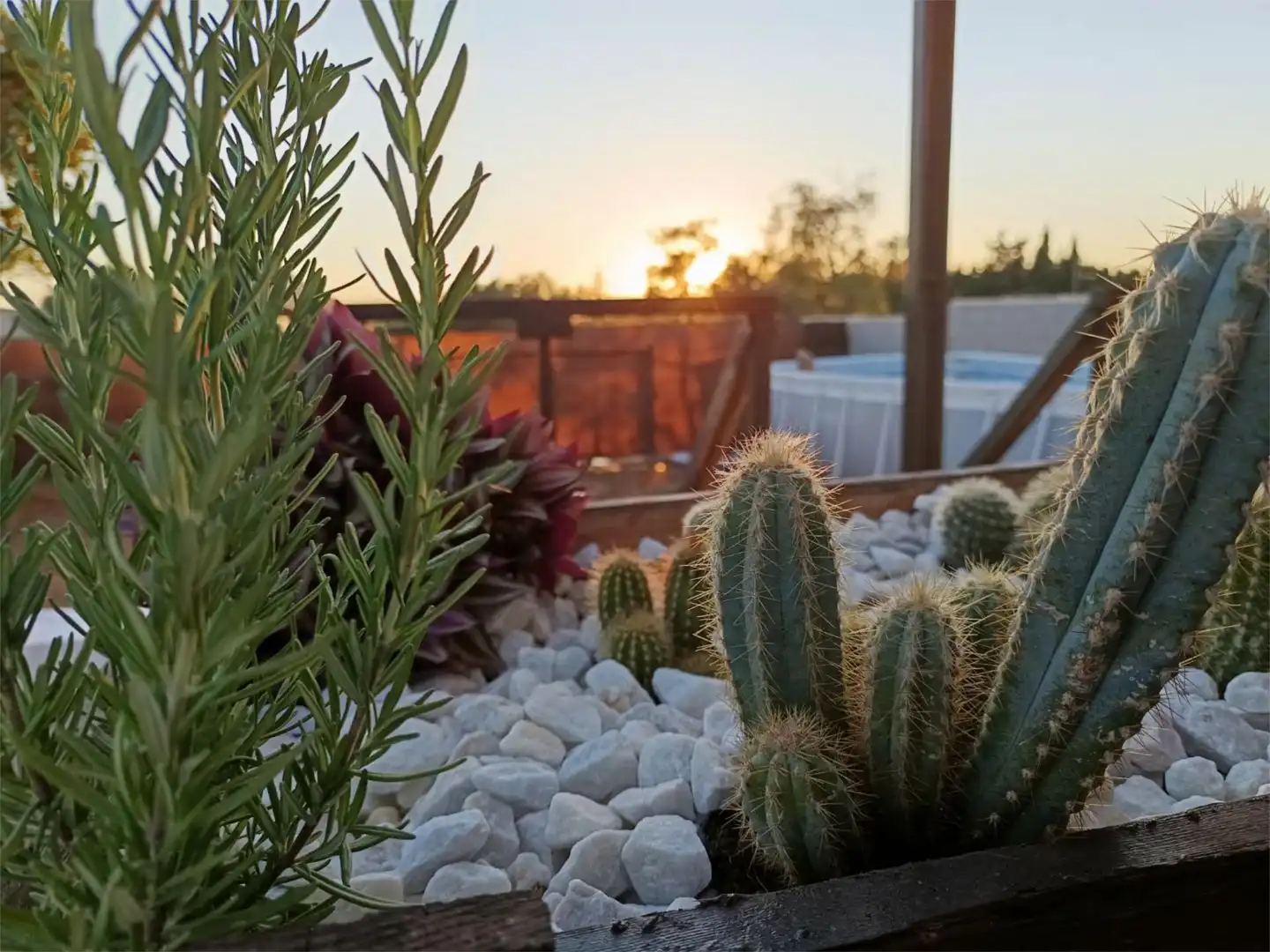 Terrassa de Finca rústica en venda en Chiclana de la Frontera amb Aire condicionat, Calefacció i Jardí privat