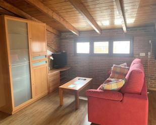 Living room of Flat to rent in Santander