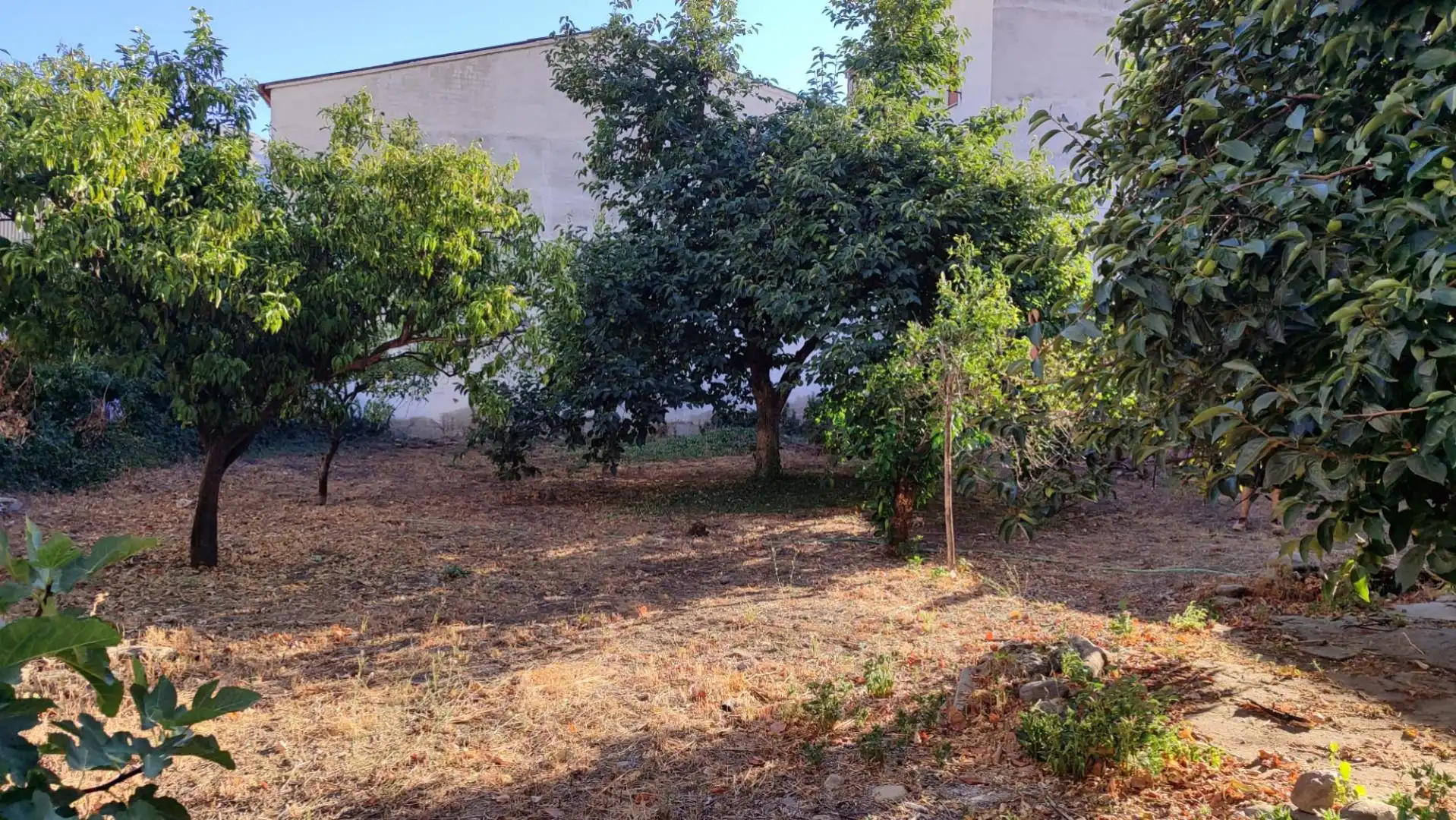Planta baixa en venda a Calle Rebollares, 31, Jerte Planta baixa en venda en Jerte