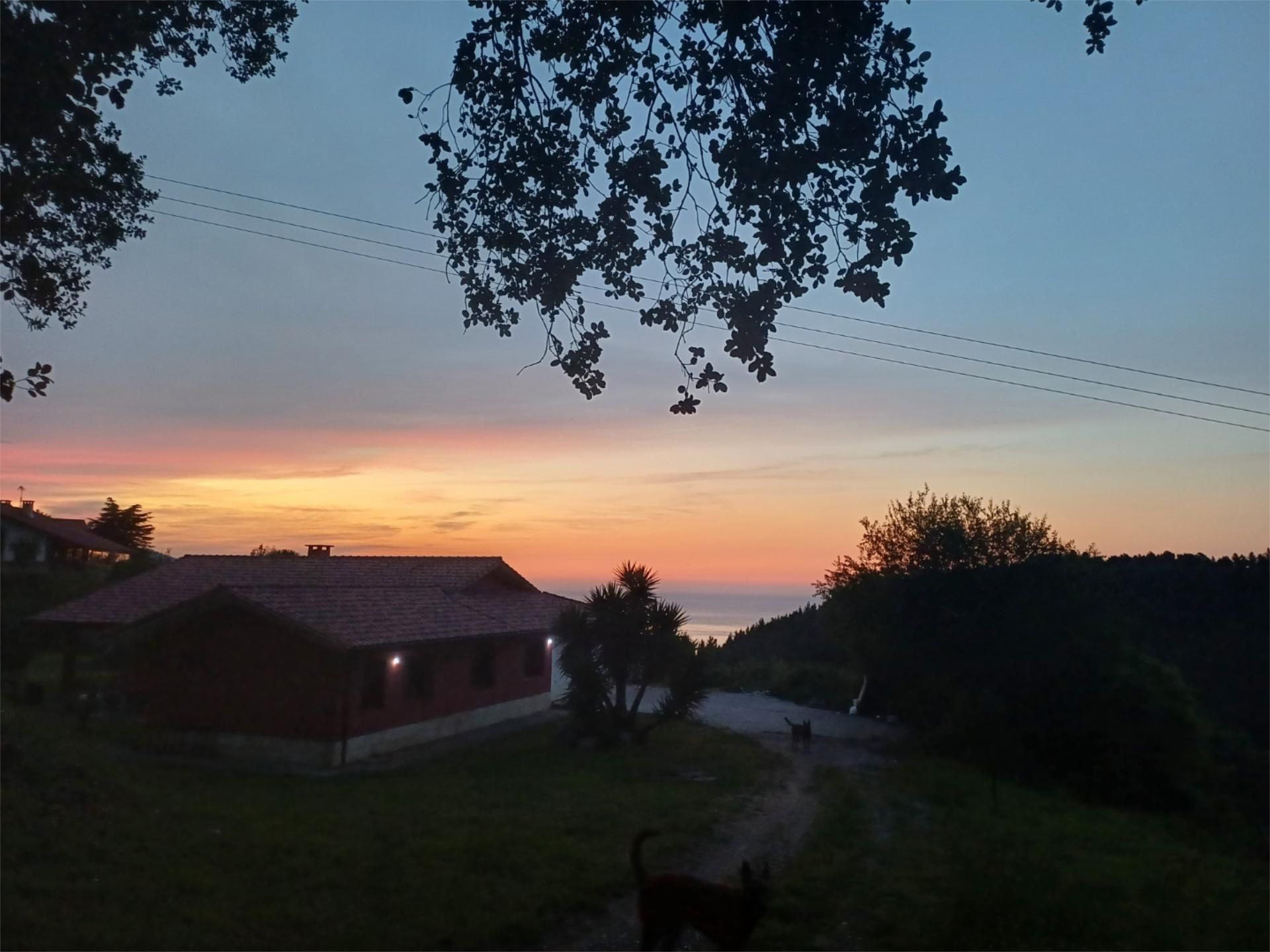 Vista exterior de Casa o xalet en venda en Berriatua amb Terrassa