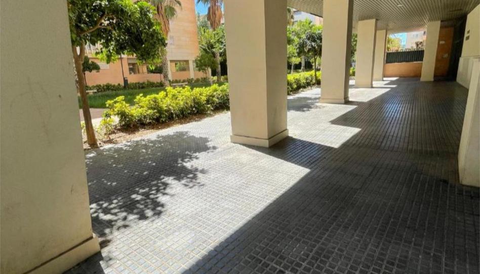 Photo 1 of Premises to rent in Carretera Carril de la Chupa, 10, Paseo Marítimo Oeste - Pacífico, Málaga