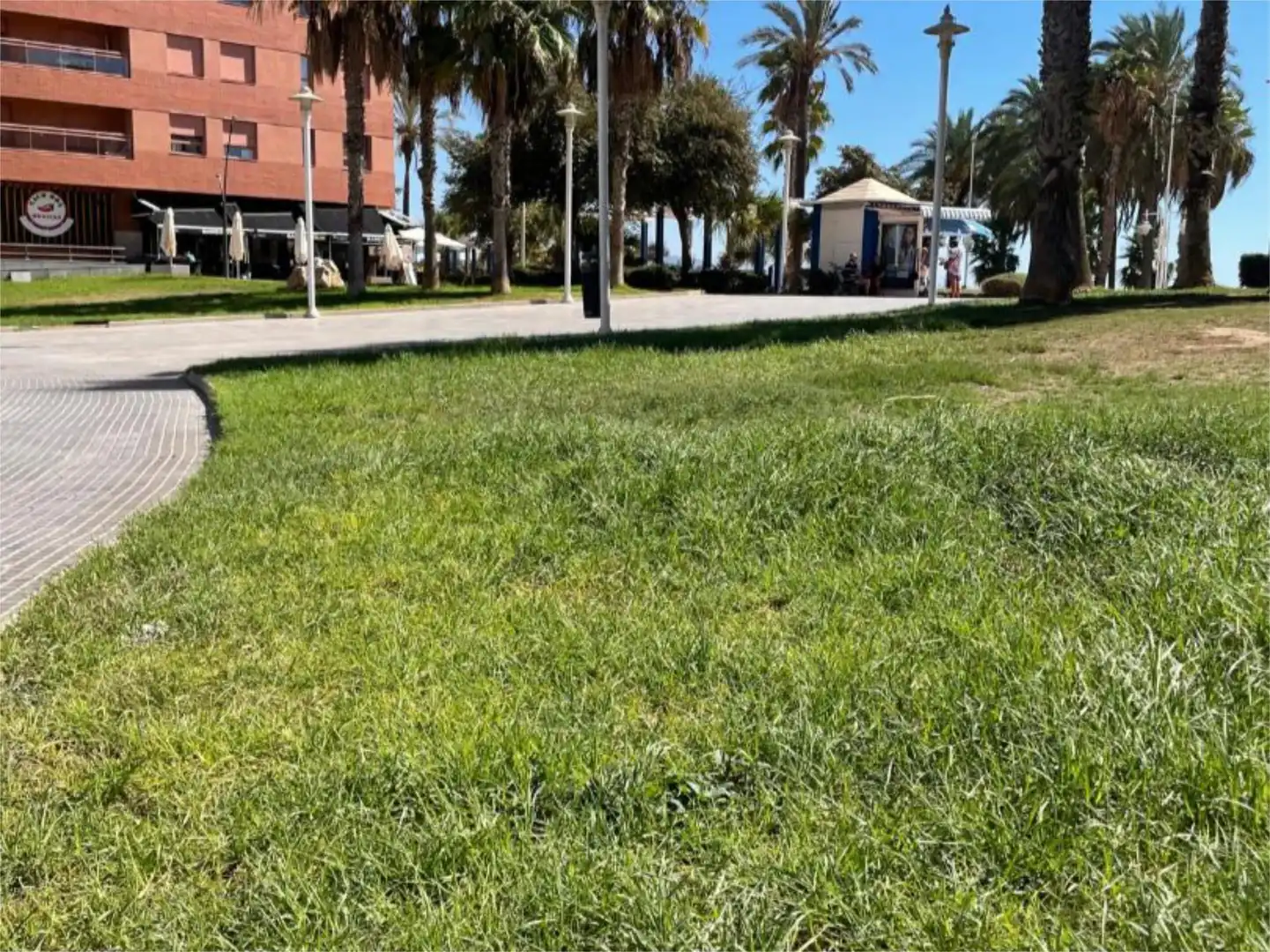 Geschaftsraum zur Miete in Carretera Carril de la Chupa, 10, Paseo Marítimo Oeste - Pacífico Geschaftsraum zur Miete in Málaga