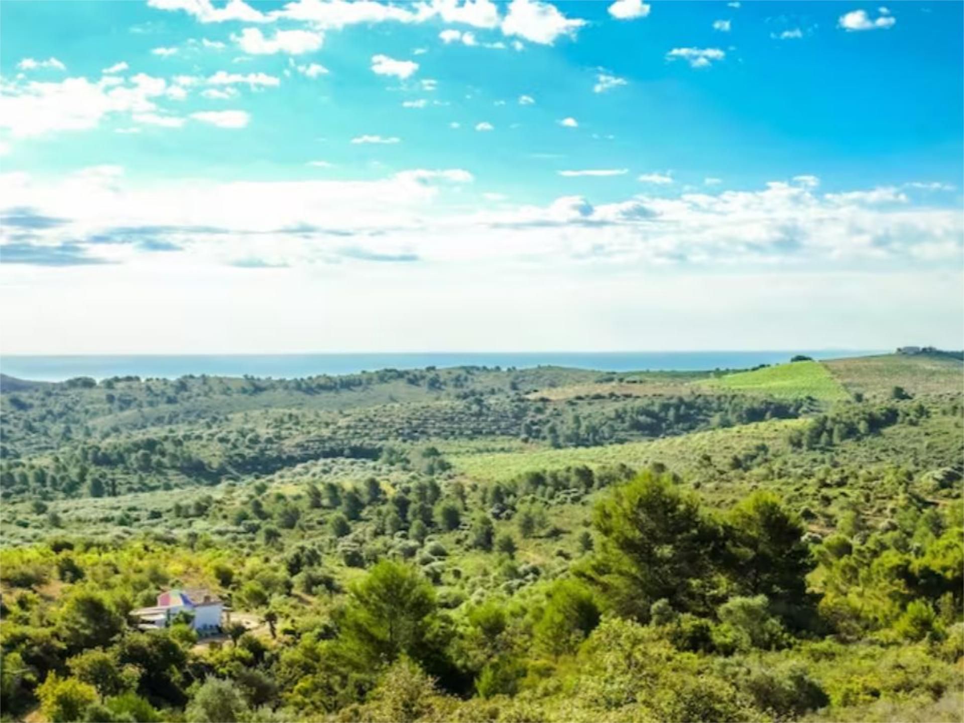 Single-family semi-detached to share in Plaza Ramón y Cajal, Torreblanca