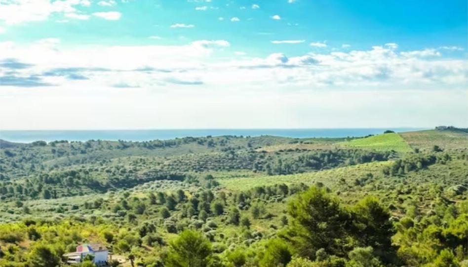 Single-family semi-detached to share in Plaza Ramón y Cajal, 1a, Torreblanca, Castellón - image 1 Photo 1 of Single-family semi-detached to share in Plaza Ramón y Cajal, 1a, Torreblanca, Castellón