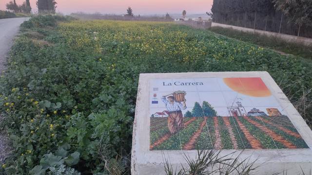 Terreno en Venta en Avenida de Sevilla, 63 en Trebujena