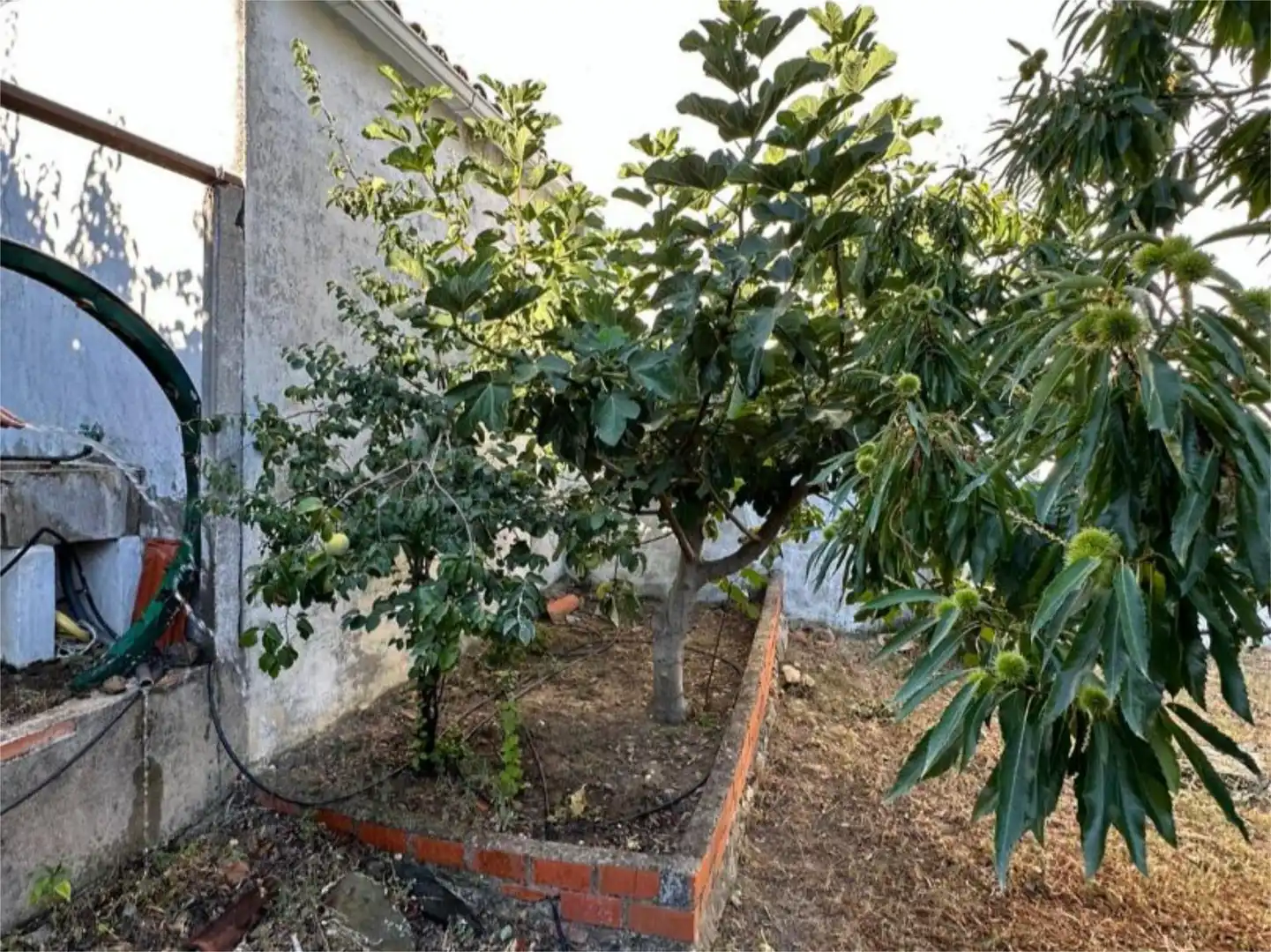 Planta baixa en venda a Calle Chorrillo, 12, Los Navalucillos Jardí de Planta baixa en venda en Los Navalucillos