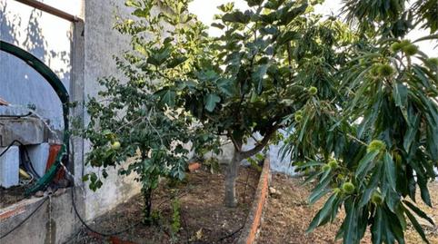 Planta baja for sale in Calle Chorrillo, 12, Los Navalucillos, Toledo - image 3 Photo 3 of Planta baja for sale in Calle Chorrillo, 12, Los Navalucillos, Toledo