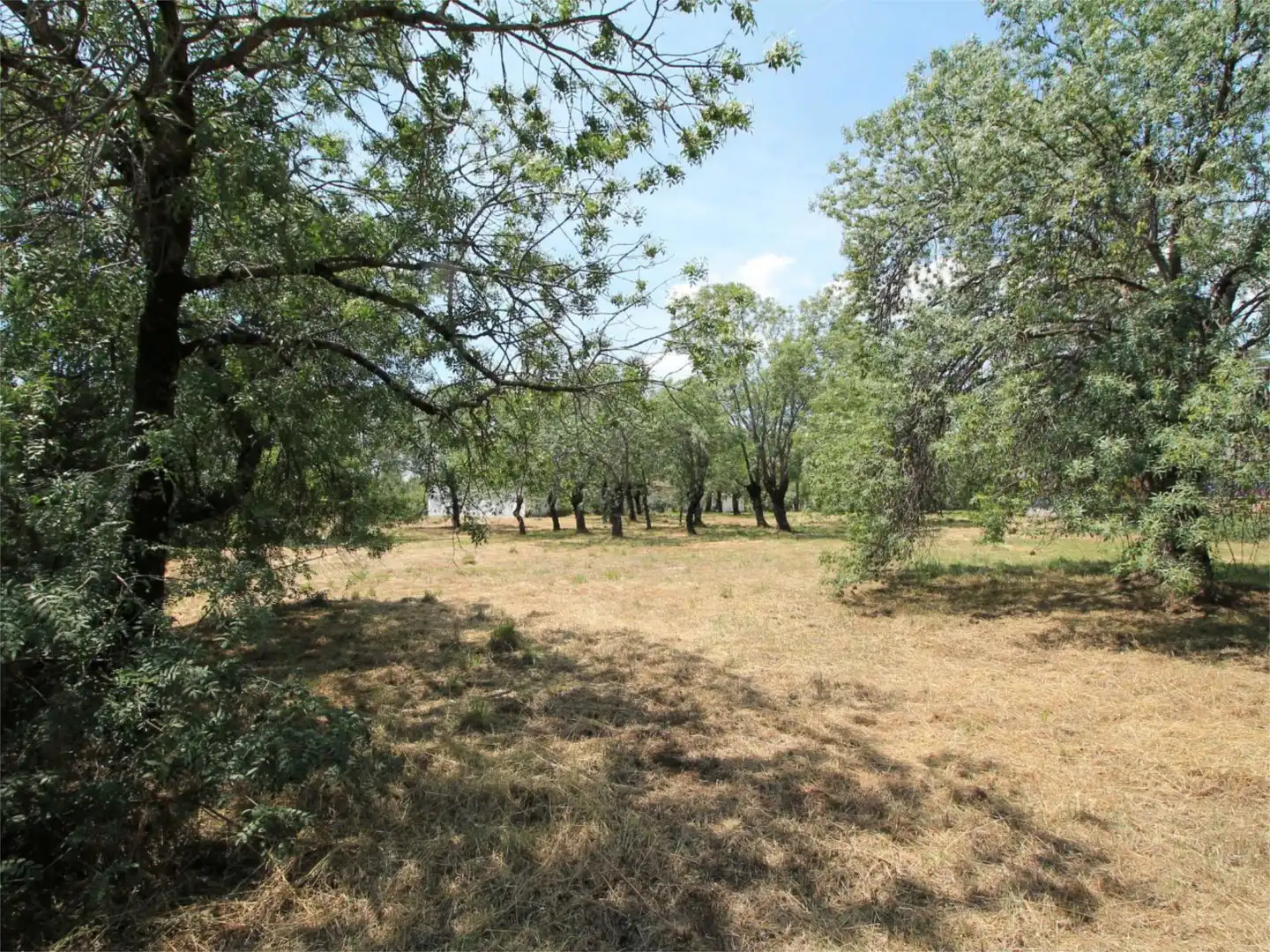 Urbanizable en venta en Calleja Prado San Juan, 15, Guadarrama Urbanizable en venta en Guadarrama