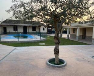 Piscina de Casa adosada de lloguer en Dos Hermanas amb Terrassa i Piscina