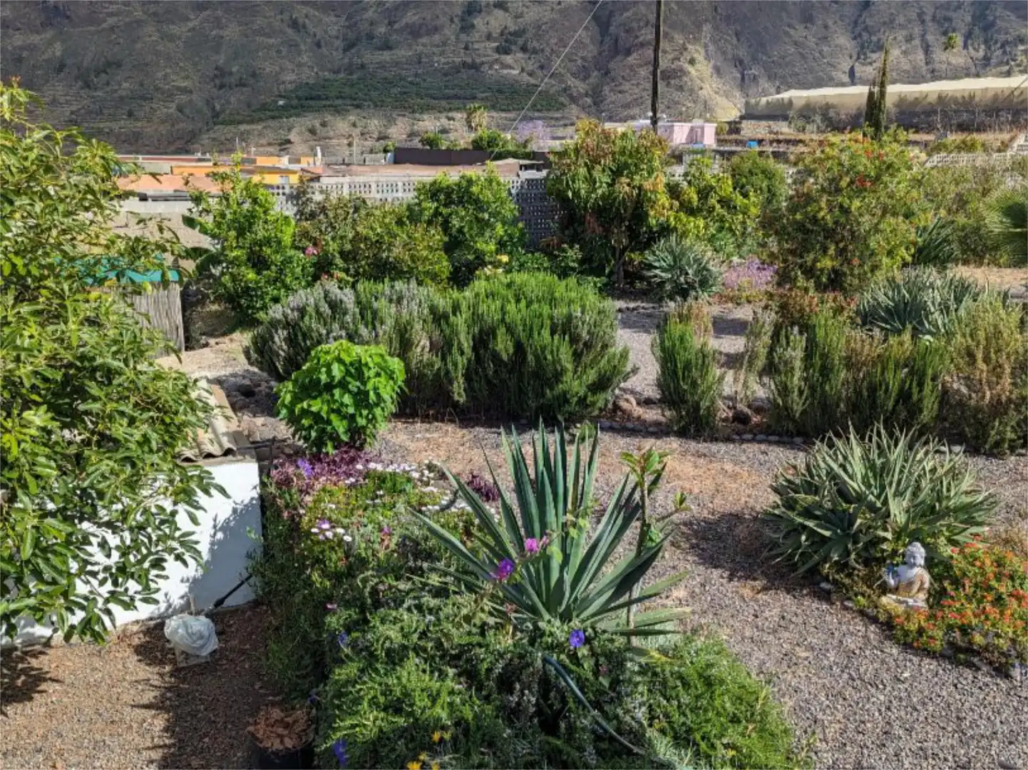 Jardín de Casa o chalet en venta en El Paso con Jardín privado, Parquet y Terraza