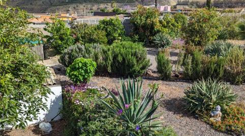 Foto 2 de Casa o xalet en venda a Calle Bejenagua, 11, El Paso, Santa Cruz de Tenerife