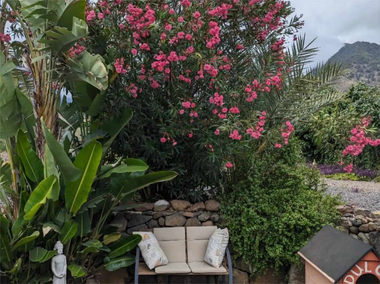 Jardín de Casa o chalet en venta en El Paso con Jardín privado, Parquet y Terraza