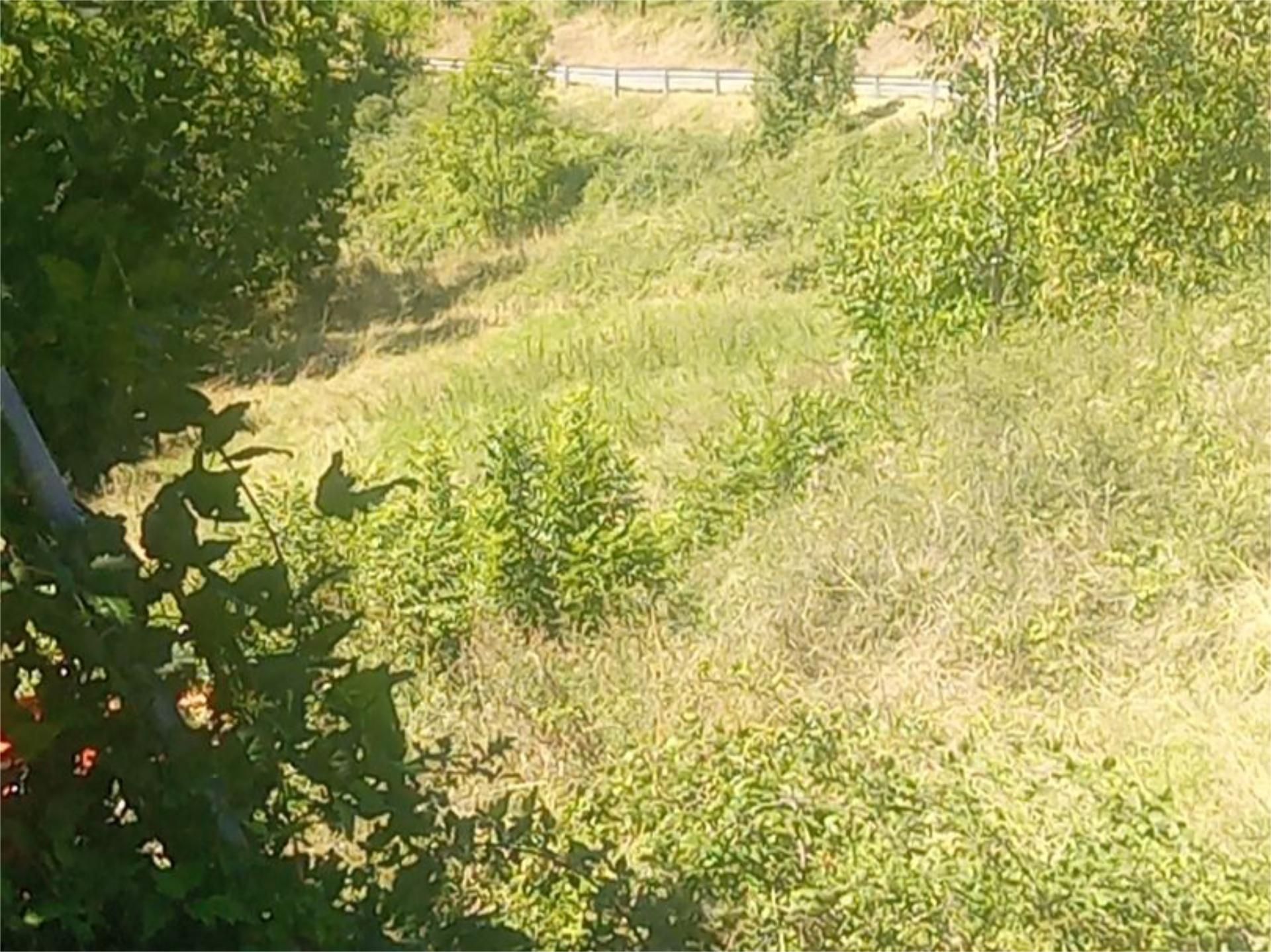 Grundstücke zum verkauf in Planoles
