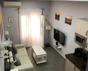 Living room of Study to rent in  Cádiz Capital