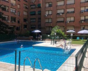 Swimming pool of Flat to share in  Madrid Capital  with Swimming Pool