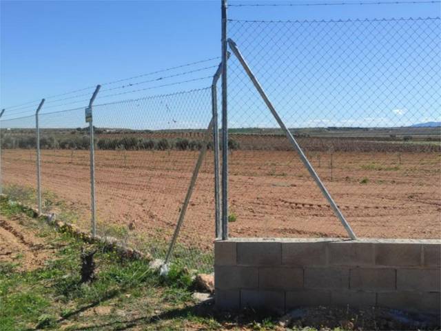 Terreno en Venta en Vía Baños Peral 15, 91T en Valdepeñas