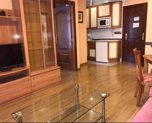 Sala d'estar de Apartament de lloguer en León Capital  amb Calefacció, Parquet i Moblat