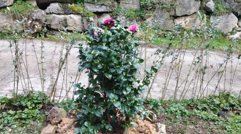 Photo 3 of Flat for sale in Ikaitzaldea Auzoa Auzoa, 8, Zegama, Gipuzkoa