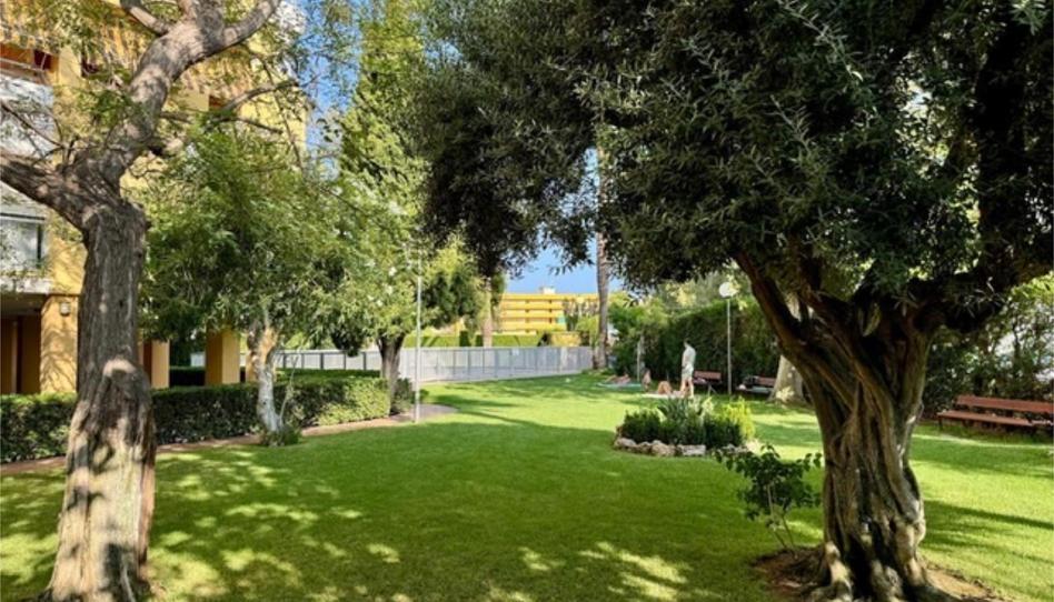 Photo 1 of Flat to rent in Carrer Gran Khan, 3, Canet d'En Berenguer, Valencia