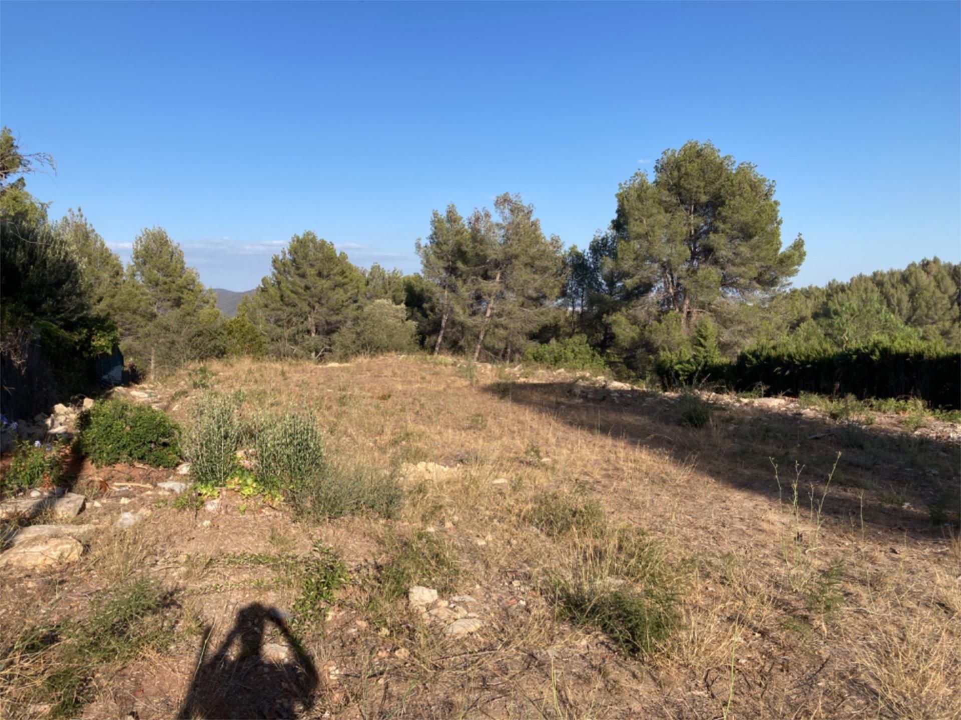 Land for sale in Pallejà