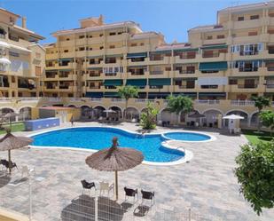 Vista exterior de Apartament de lloguer en Torrevieja amb Aire condicionat, Terrassa i Piscina