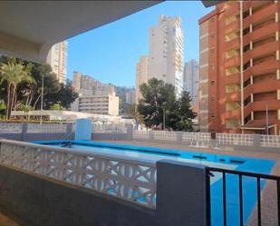 Swimming pool of Apartment to rent in Benidorm  with Terrace and Swimming Pool