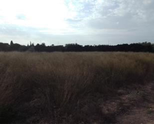 Land for sale in Guardamar del Segura