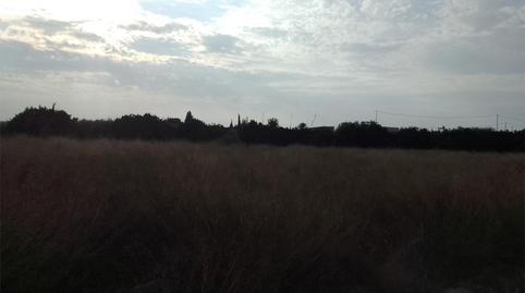 Land for sale in Calle París, 89, El Moncayo - El Pòrtic, Alicante - image 3 Photo 3 of Land for sale in Calle París, 89, El Moncayo - El Pòrtic, Alicante