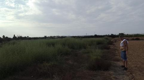 Land for sale in Calle París, 89, El Moncayo - El Pòrtic, Alicante - image 4 Photo 4 of Land for sale in Calle París, 89, El Moncayo - El Pòrtic, Alicante