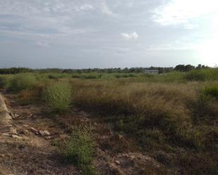 Land for sale in Guardamar del Segura