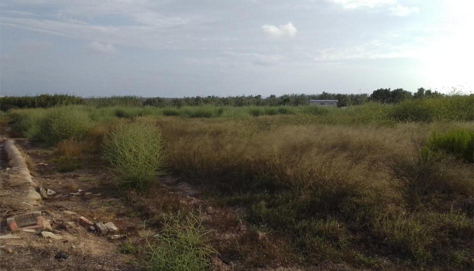 Land for sale in Calle París, 89, El Moncayo - El Pòrtic, Alicante - image 1 Photo 1 of Land for sale in Calle París, 89, El Moncayo - El Pòrtic, Alicante