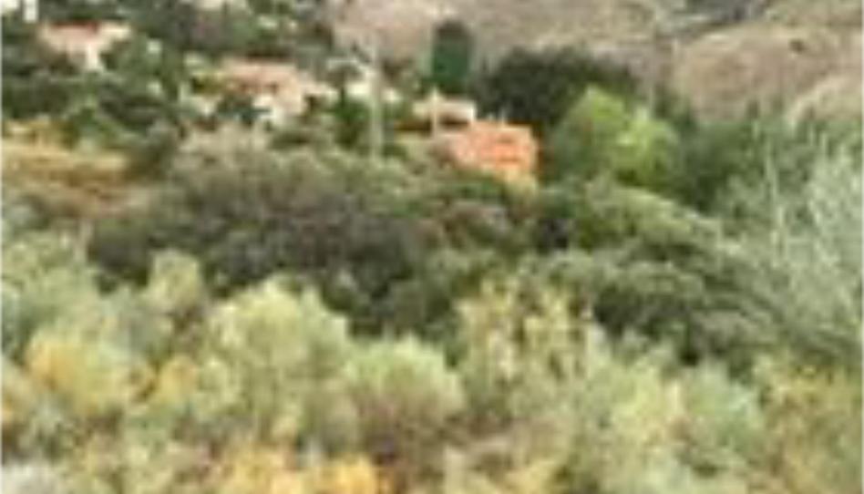 Foto 1 de Casa o xalet en venda a Calle de la Encina, 19, Dúdar, Granada