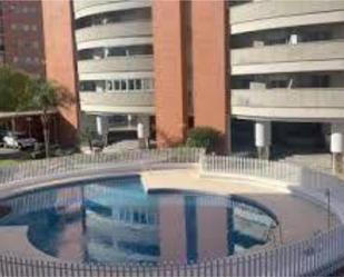 Swimming pool of Flat to rent in  Sevilla Capital  with Terrace and Swimming Pool