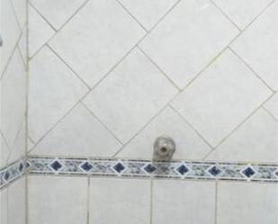 Bathroom of Apartment for sale in Valladolid Capital