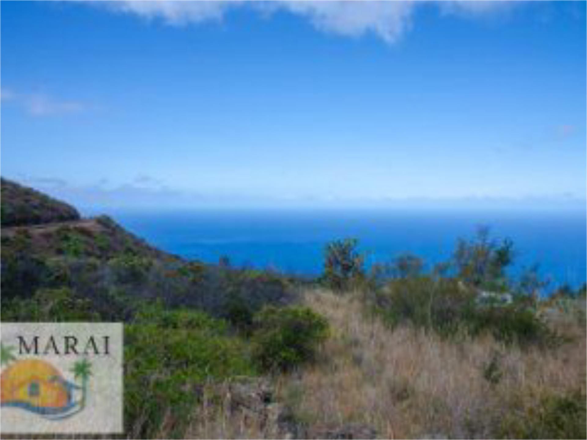 Exterior view of Land for sale in Puntagorda