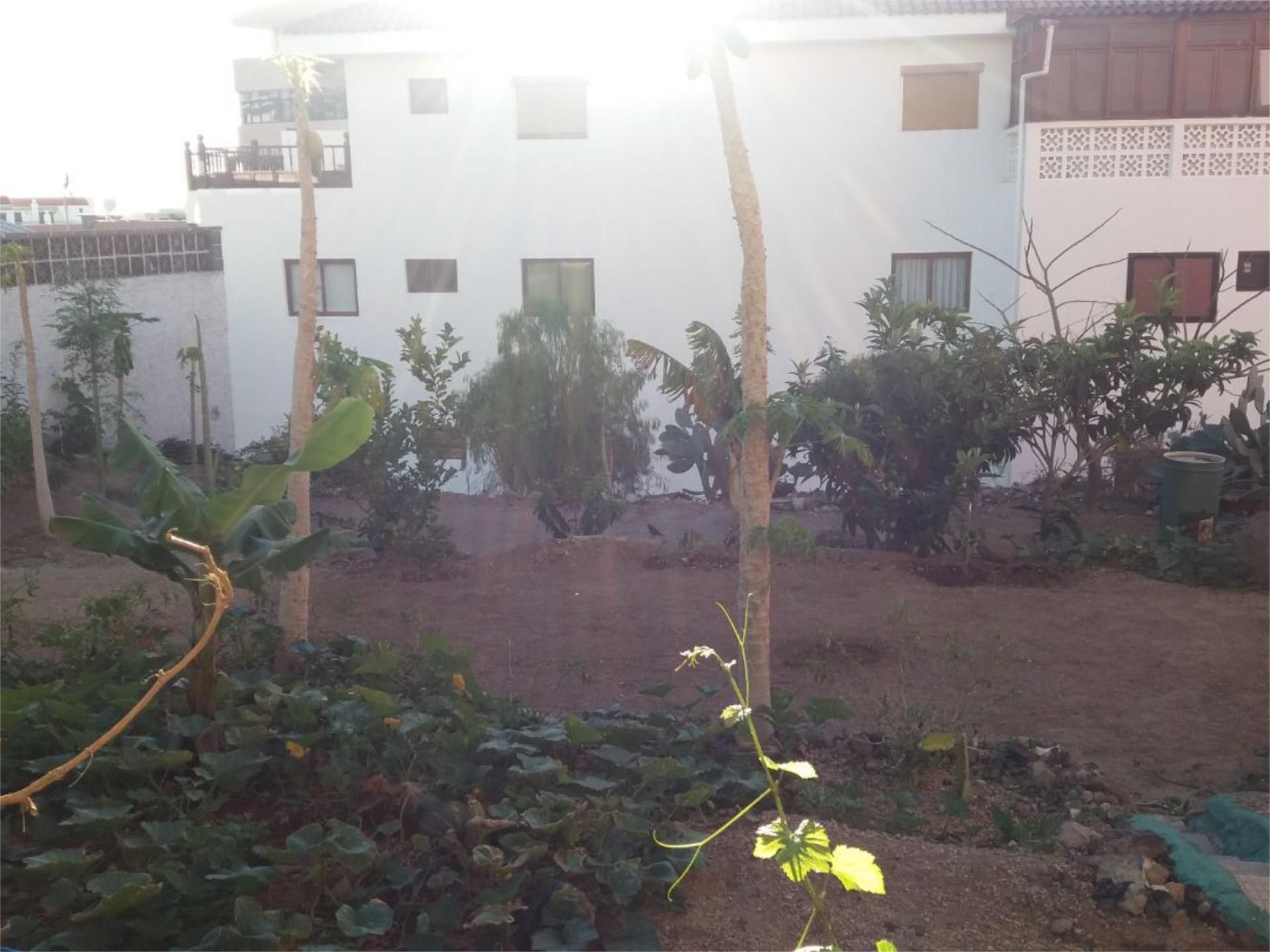 Garden of Constructible Land for sale in Candelaria