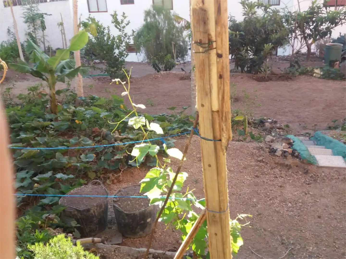 Bebaubares Gelände zum Verkauf in Calle Guimar, 11, Candelaria - Playa La Viuda Garten von Bebaubares Gelände zum Verkauf in Candelaria