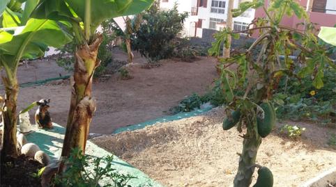 Foto 4 de Urbanitzable en venda a Calle Guimar, 11, Candelaria - Playa La Viuda, Santa Cruz de Tenerife